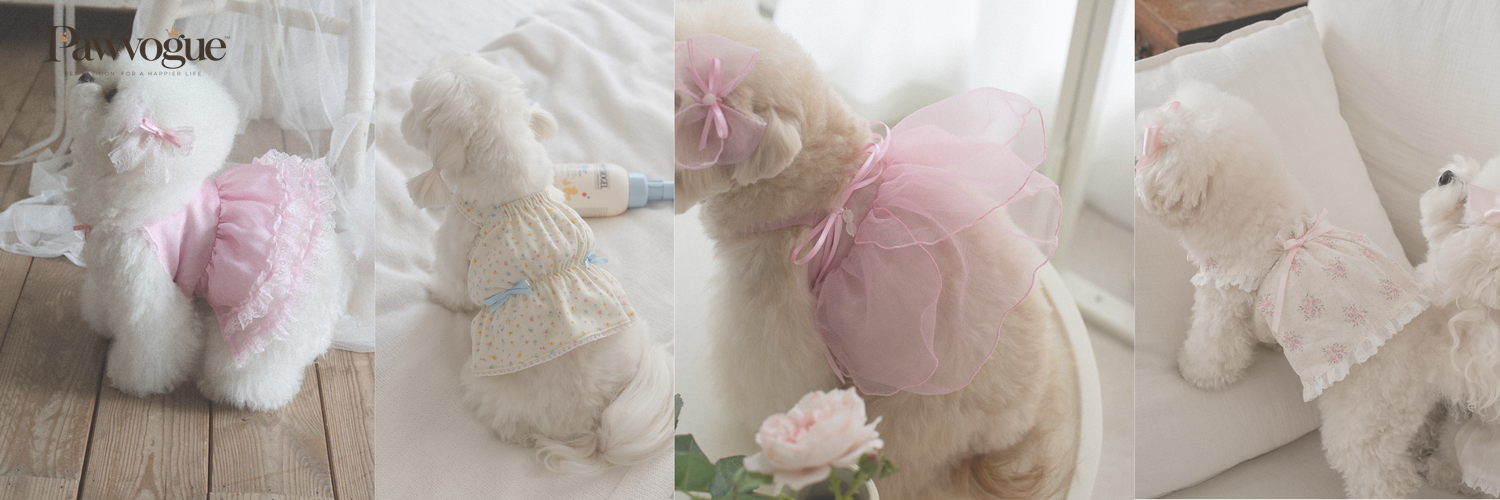 Dogs wearing soft pastel spring outfits