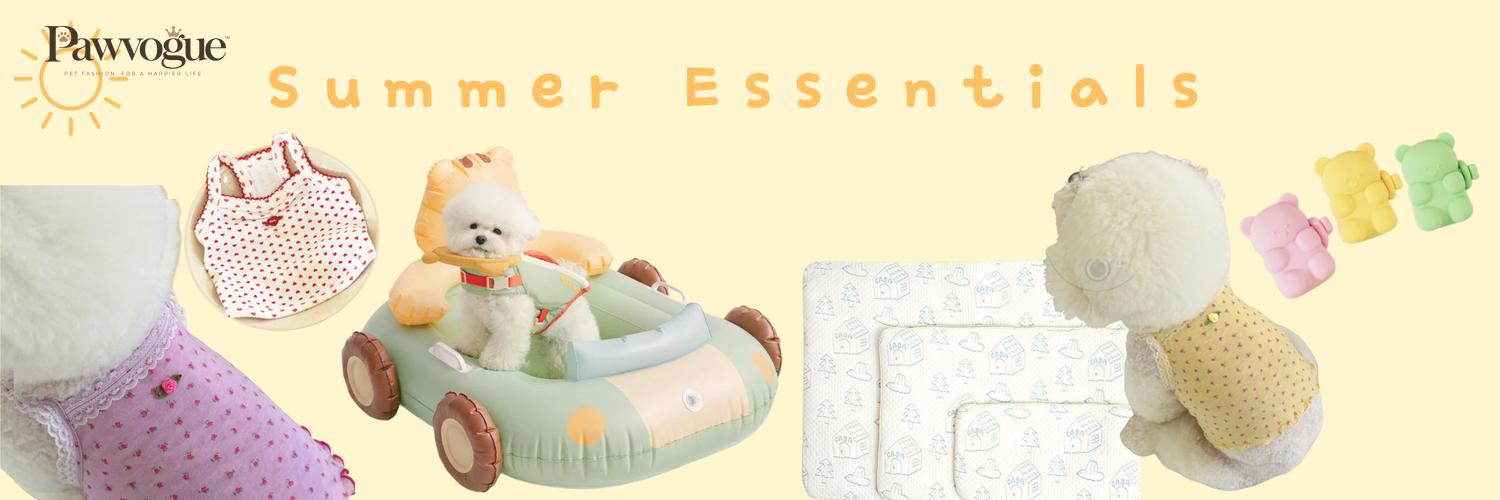 Summer essentials for dogs
