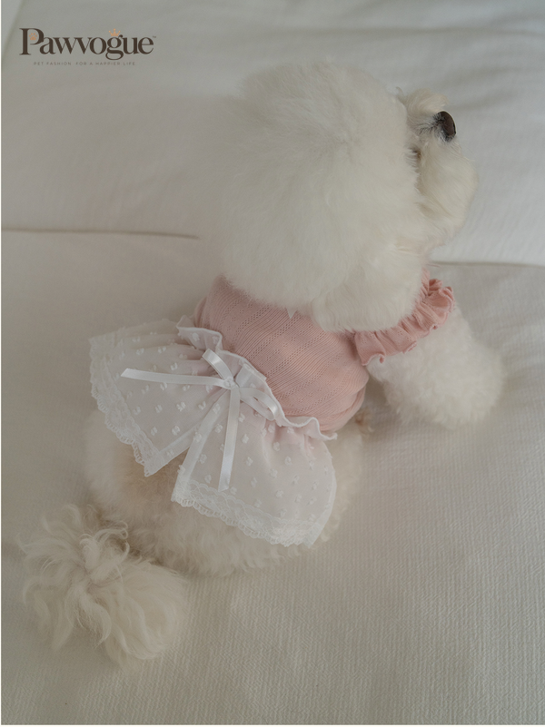 Dog wearing a soft pink lace dress