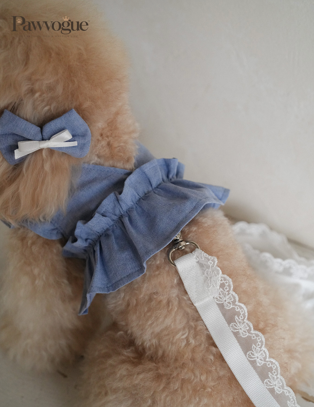 Indigo Harness